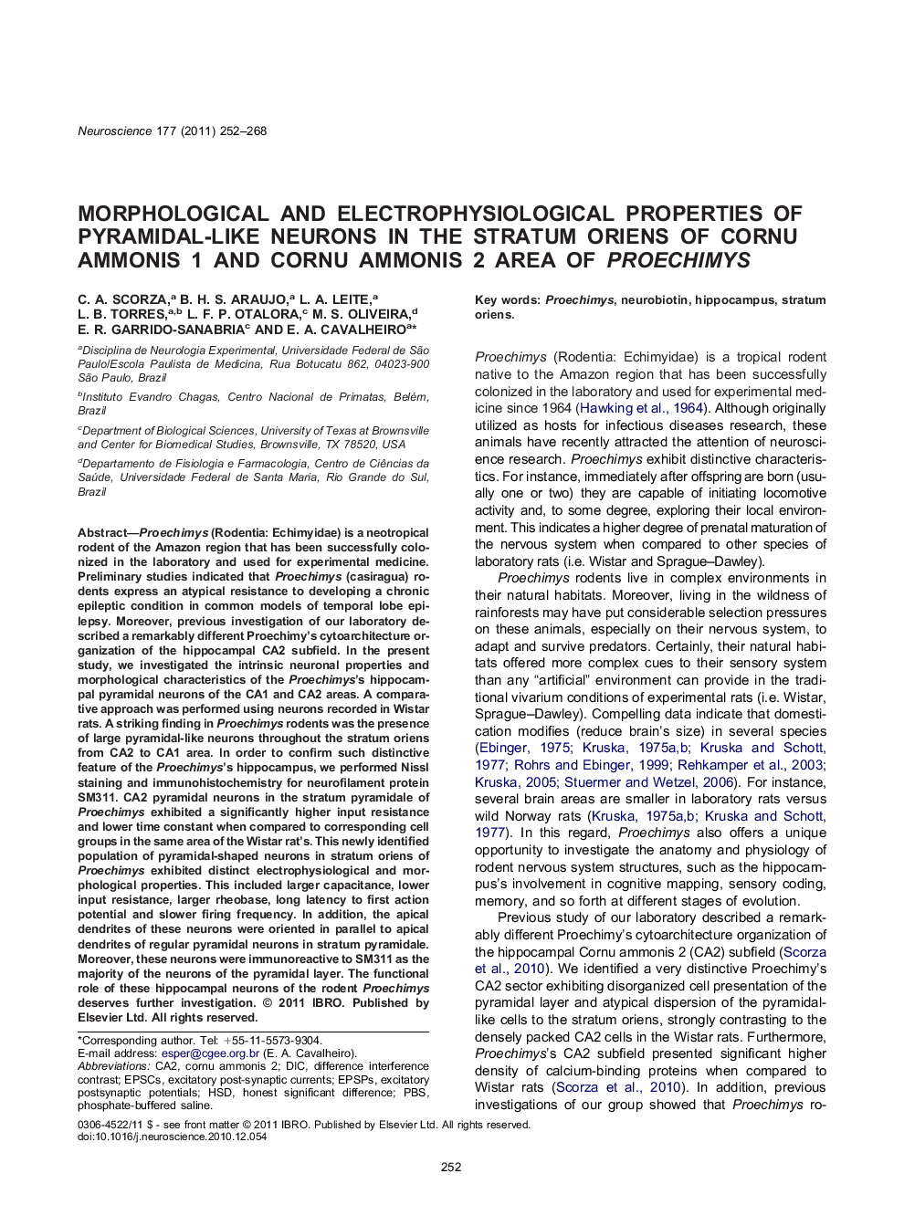 Morphological and electrophysiological properties of pyramidal-like neurons in the stratum oriens of Cornu ammonis 1 and Cornu ammonis 2 area of Proechimys