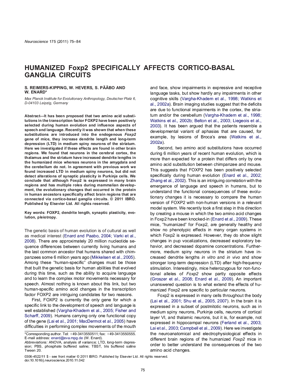 Humanized Foxp2 specifically affects cortico-basal ganglia circuits