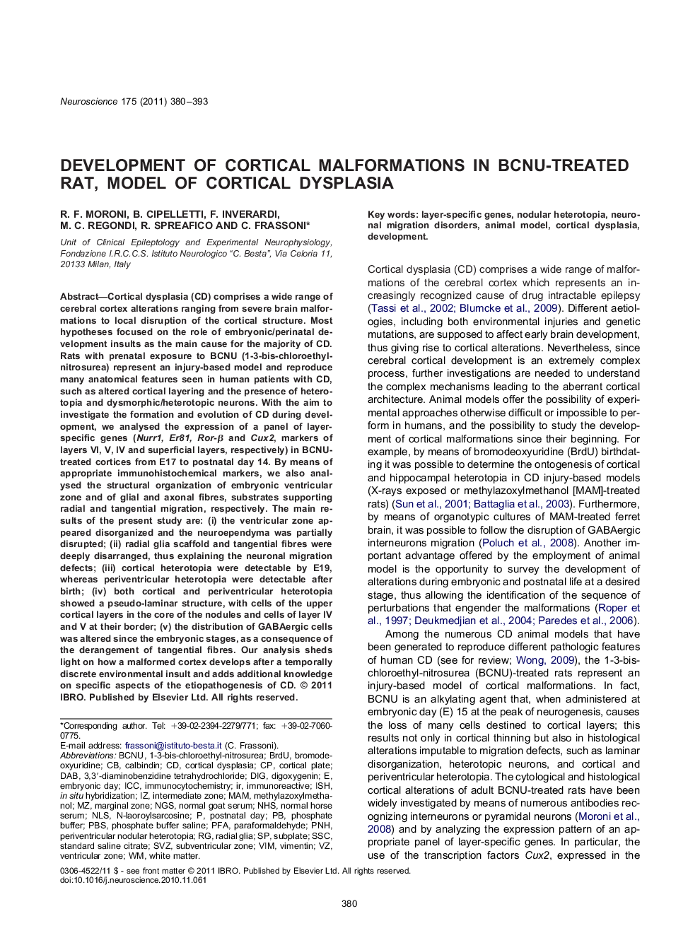 Development of cortical malformations in BCNU-treated rat, model of cortical dysplasia