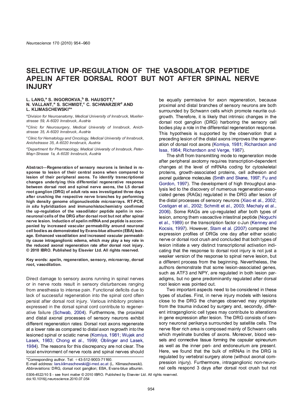 Selective up-regulation of the vasodilator peptide apelin after dorsal root but not after spinal nerve injury