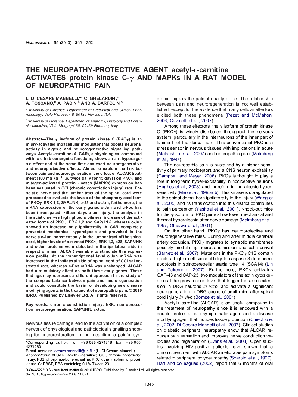 The neuropathy-protective agent acetyl-l-carnitine activates protein kinase C-Î³ and MAPKs in a rat model of neuropathic pain