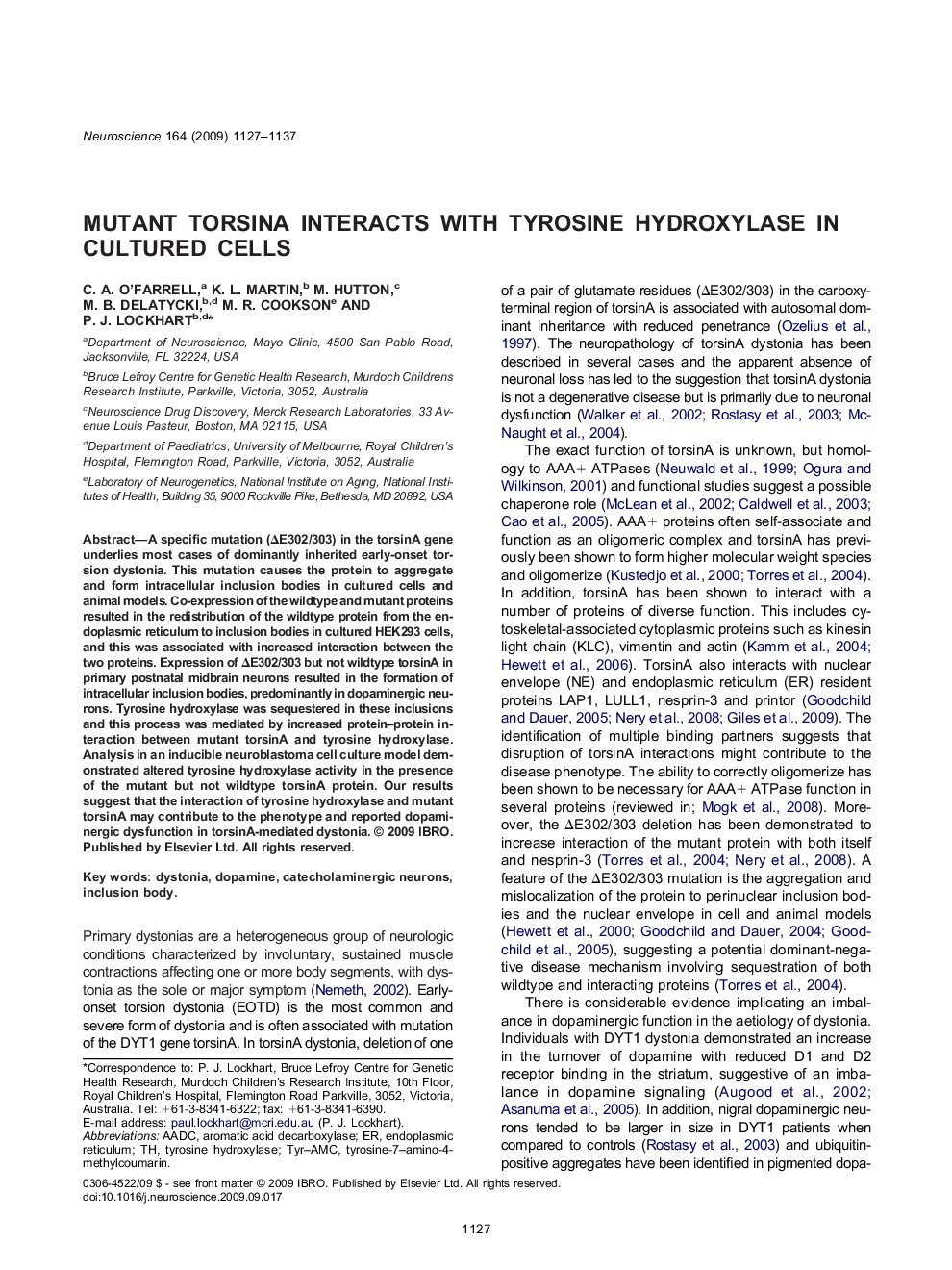 Mutant torsinA interacts with tyrosine hydroxylase in cultured cells