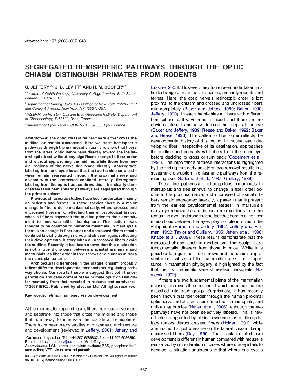 Segregated hemispheric pathways through the optic chiasm distinguish primates from rodents