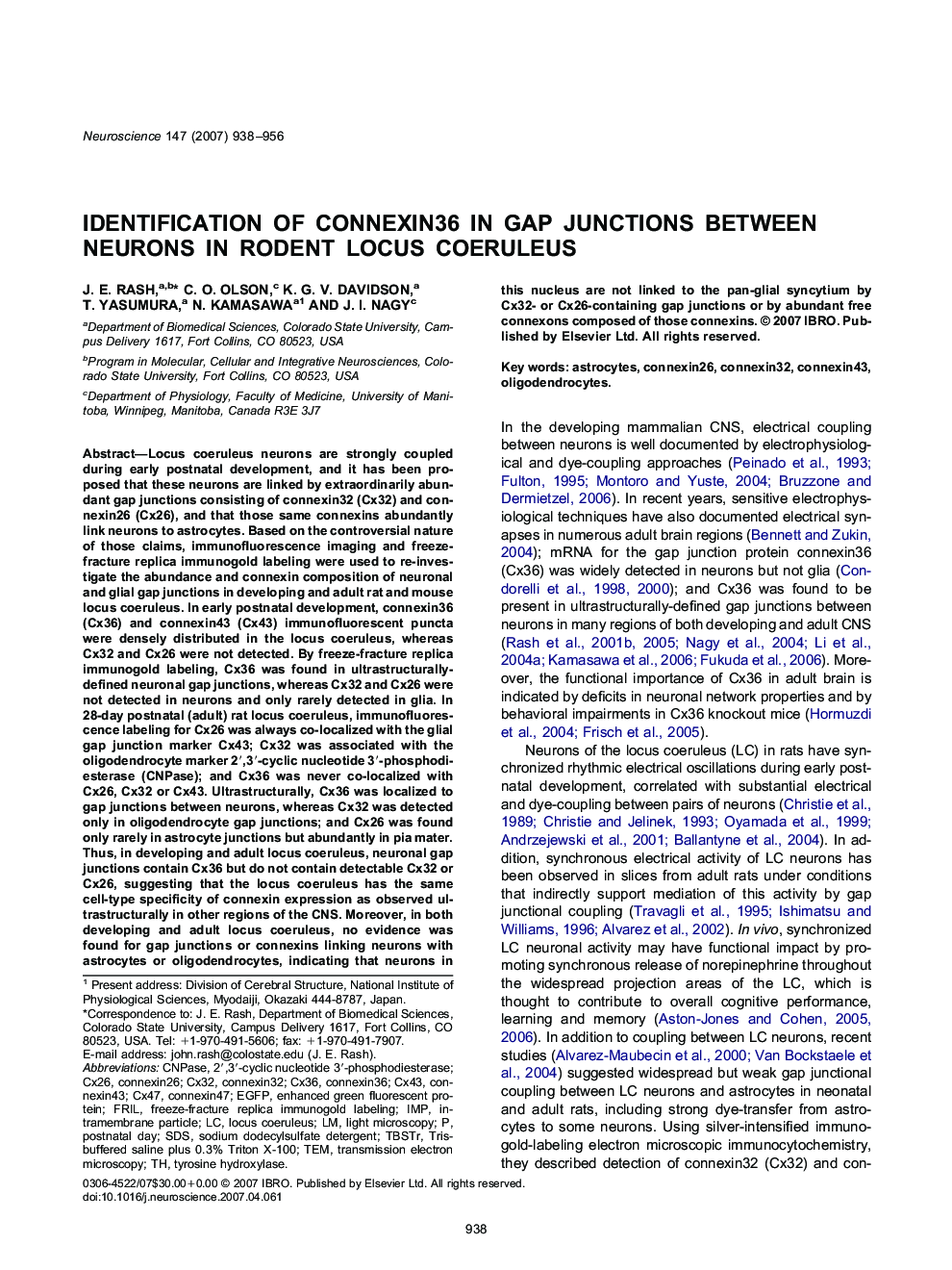 Cellular neuroscienceIdentification of connexin36 in gap junctions between neurons in rodent locus coeruleus