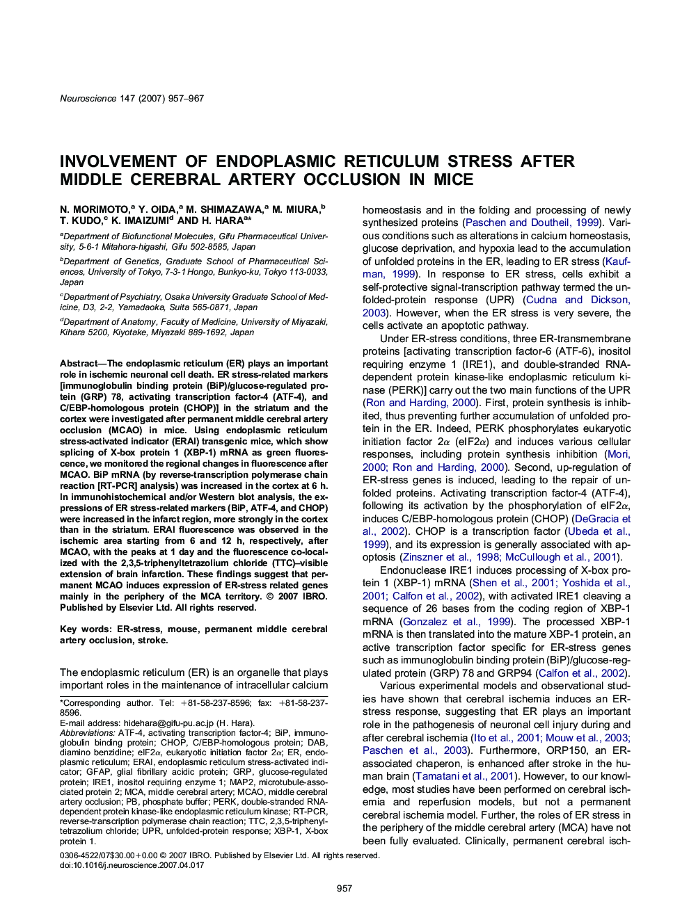 Cellular neuroscienceInvolvement of endoplasmic reticulum stress after middle cerebral artery occlusion in mice