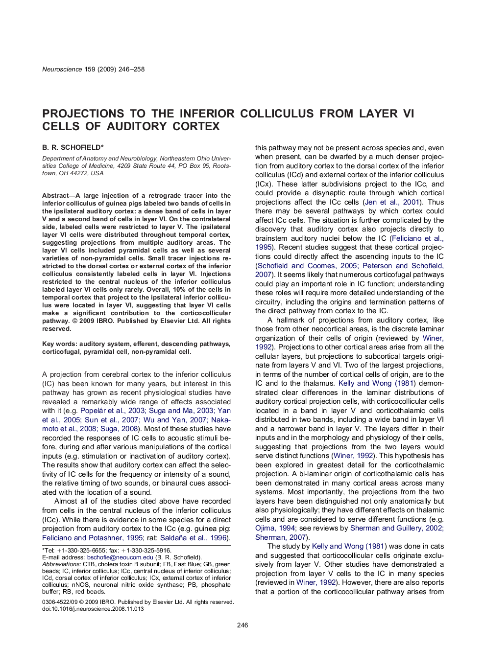 NeuroanatomyProjections to the inferior colliculus from layer VI cells of auditory cortex