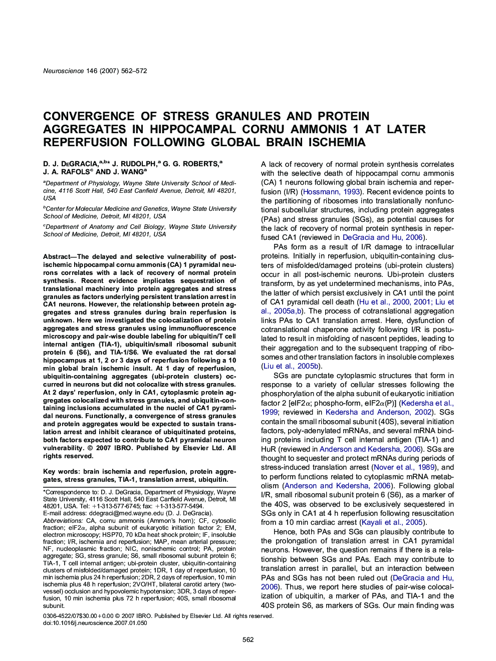 Convergence of stress granules and protein aggregates in hippocampal cornu ammonis 1 at later reperfusion following global brain ischemia