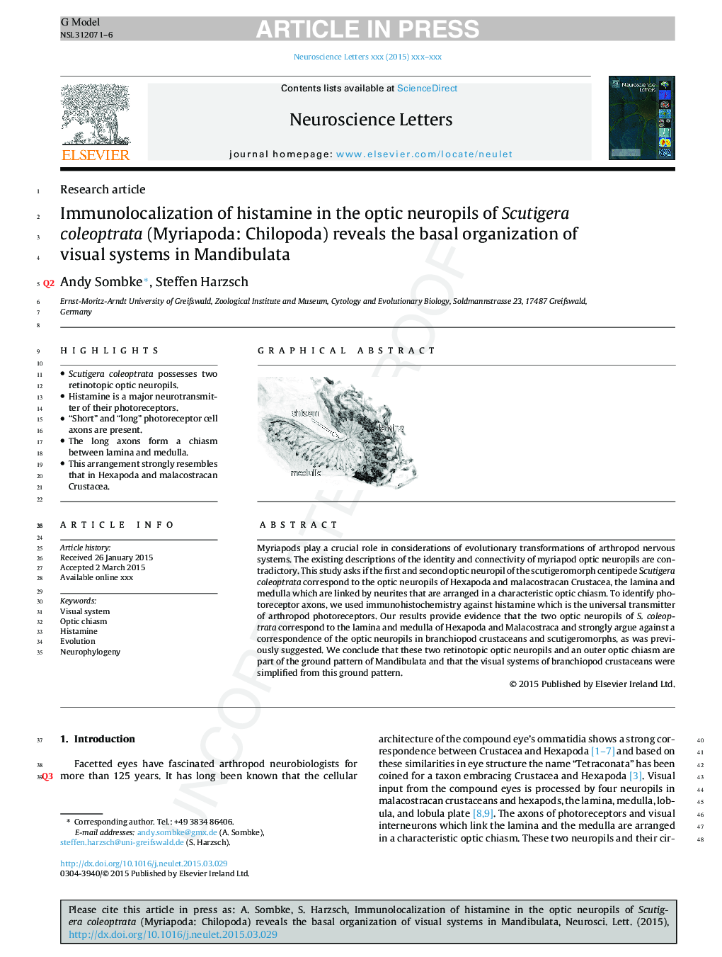 Immunolocalization of histamine in the optic neuropils of Scutigera coleoptrata (Myriapoda: Chilopoda) reveals the basal organization of visual systems in Mandibulata