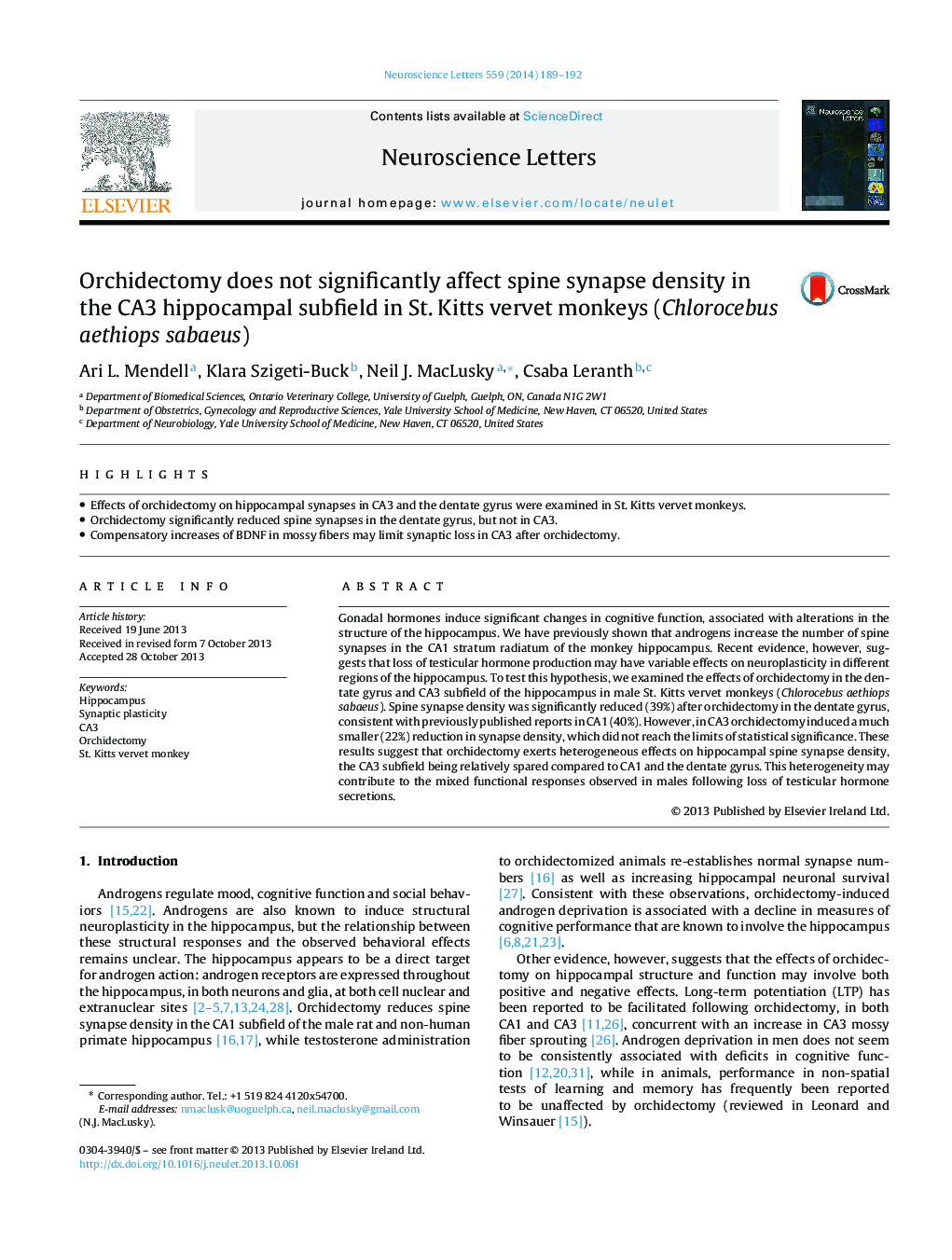 Orchidectomy does not significantly affect spine synapse density in the CA3 hippocampal subfield in St. Kitts vervet monkeys (Chlorocebus aethiops sabaeus)