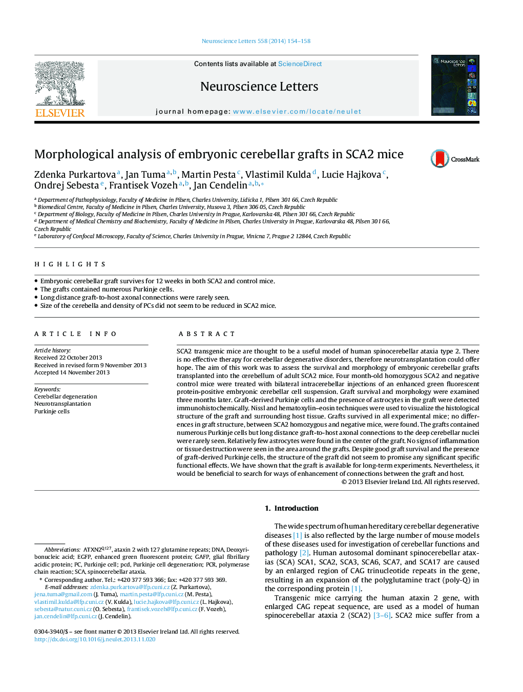 Morphological analysis of embryonic cerebellar grafts in SCA2 mice