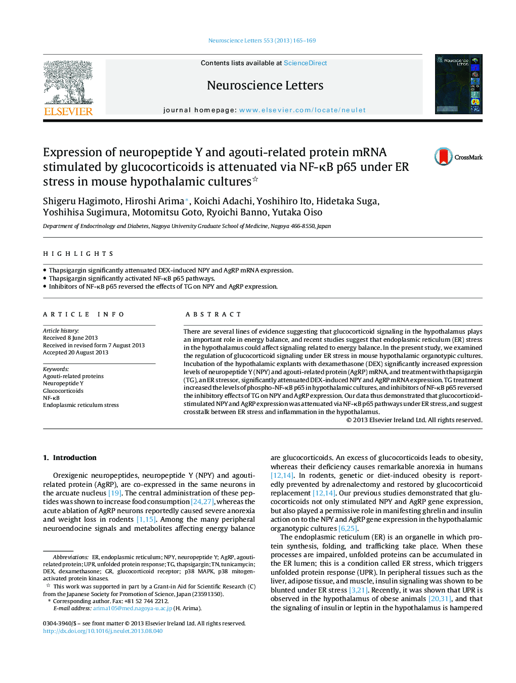 Expression of neuropeptide Y and agouti-related protein mRNA stimulated by glucocorticoids is attenuated via NF-ÎºB p65 under ER stress in mouse hypothalamic cultures