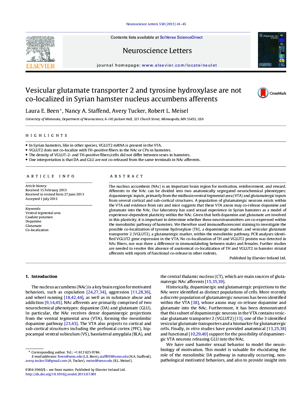 Vesicular glutamate transporter 2 and tyrosine hydroxylase are not co-localized in Syrian hamster nucleus accumbens afferents