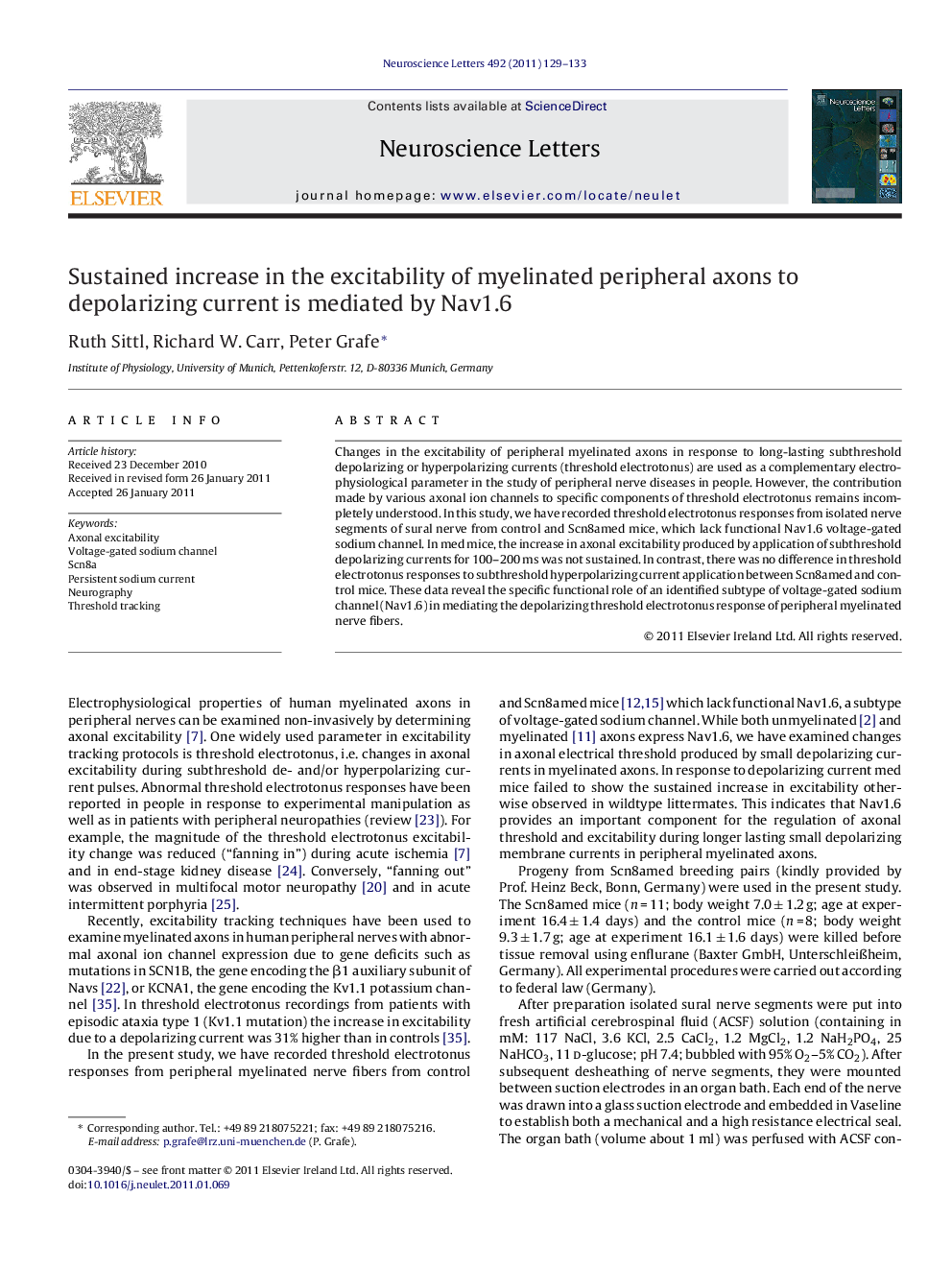 Sustained increase in the excitability of myelinated peripheral axons to depolarizing current is mediated by Nav1.6