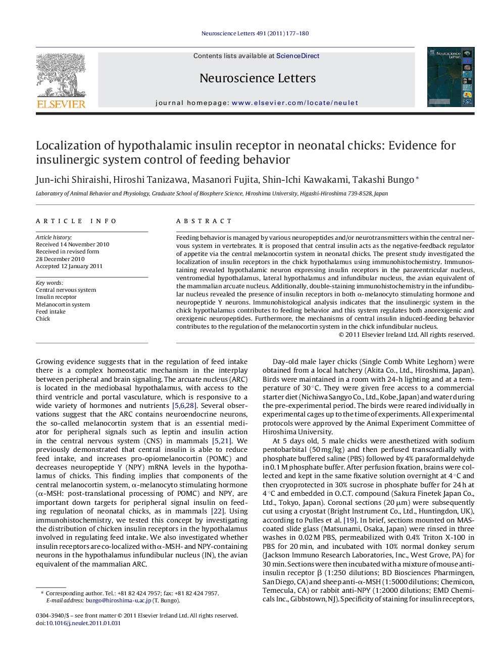 Localization of hypothalamic insulin receptor in neonatal chicks: Evidence for insulinergic system control of feeding behavior