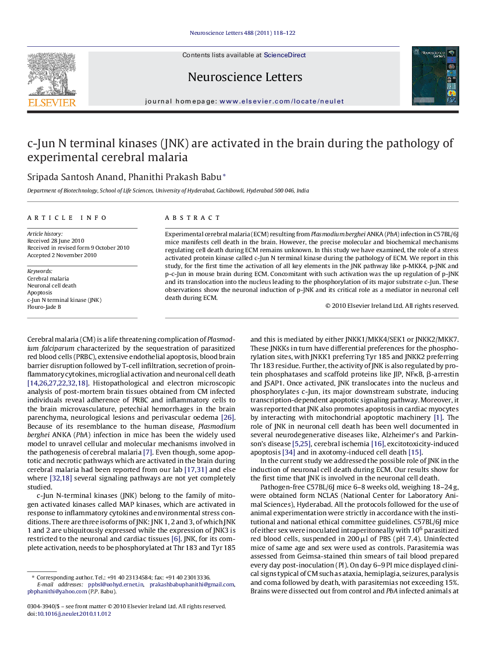 c-Jun N terminal kinases (JNK) are activated in the brain during the pathology of experimental cerebral malaria