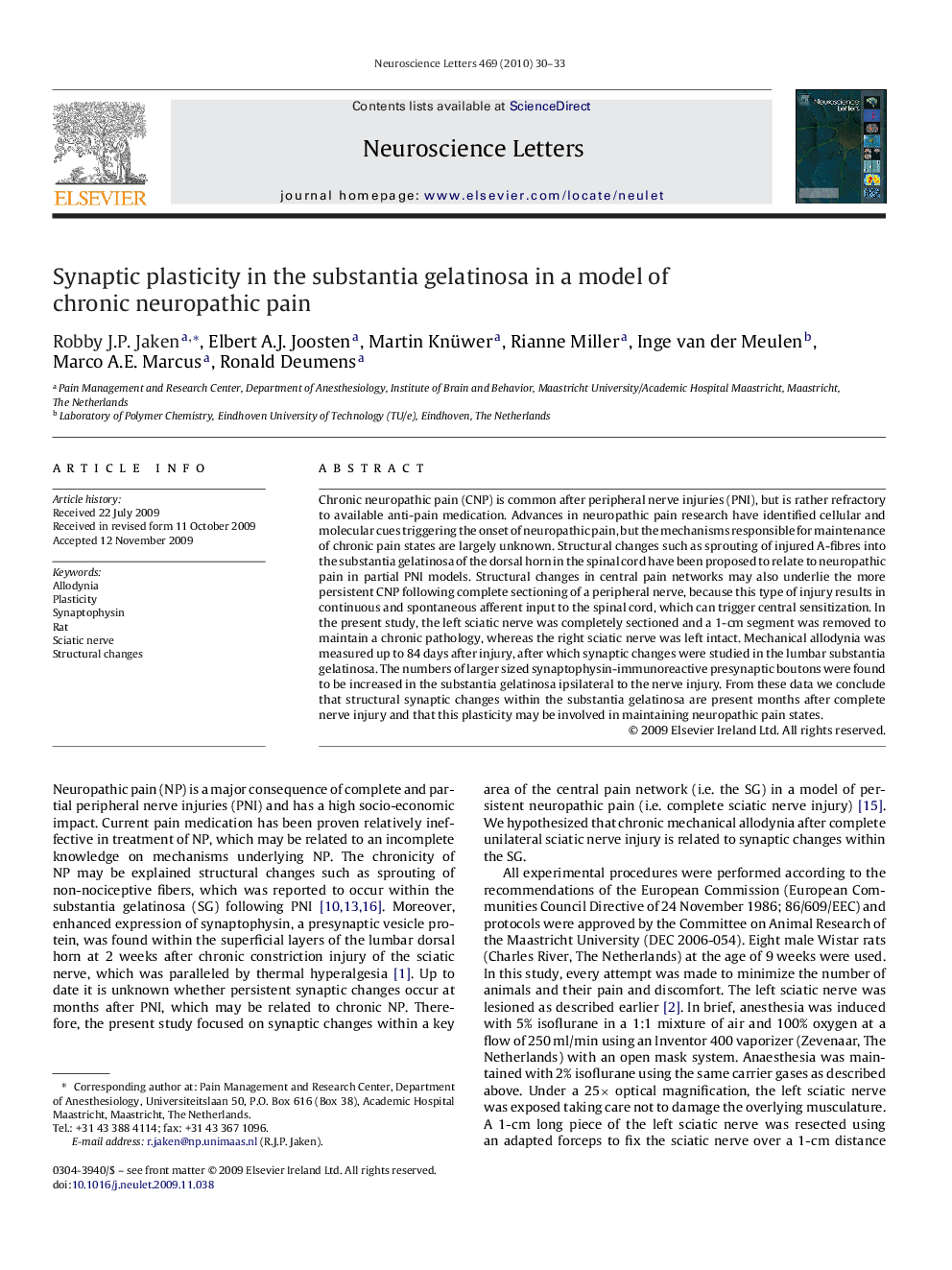 Synaptic plasticity in the substantia gelatinosa in a model of chronic neuropathic pain