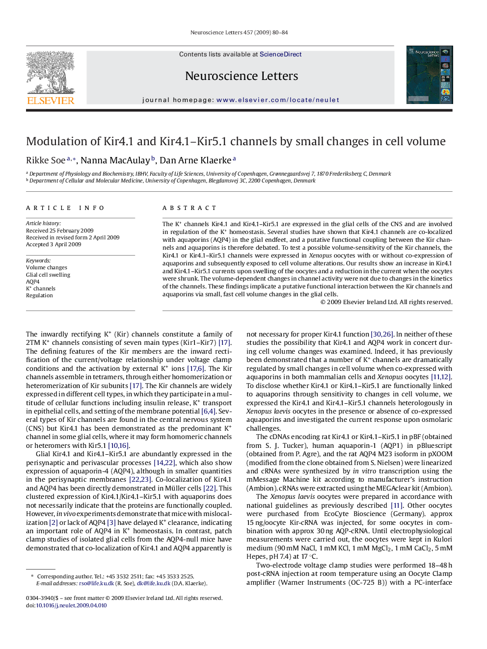 Modulation of Kir4.1 and Kir4.1-Kir5.1 channels by small changes in cell volume