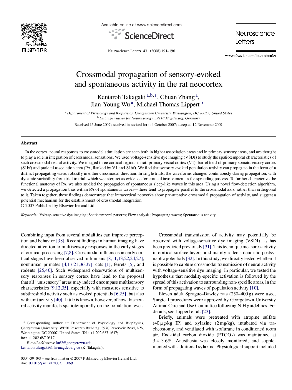 Crossmodal propagation of sensory-evoked and spontaneous activity in the rat neocortex