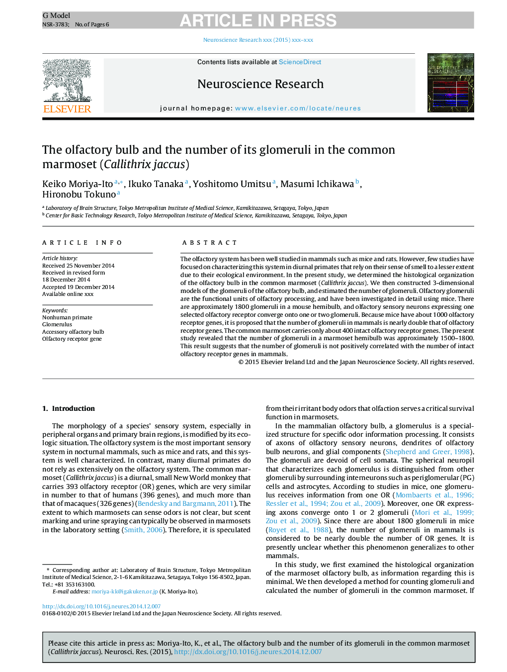 The olfactory bulb and the number of its glomeruli in the common marmoset (Callithrix jacchus)