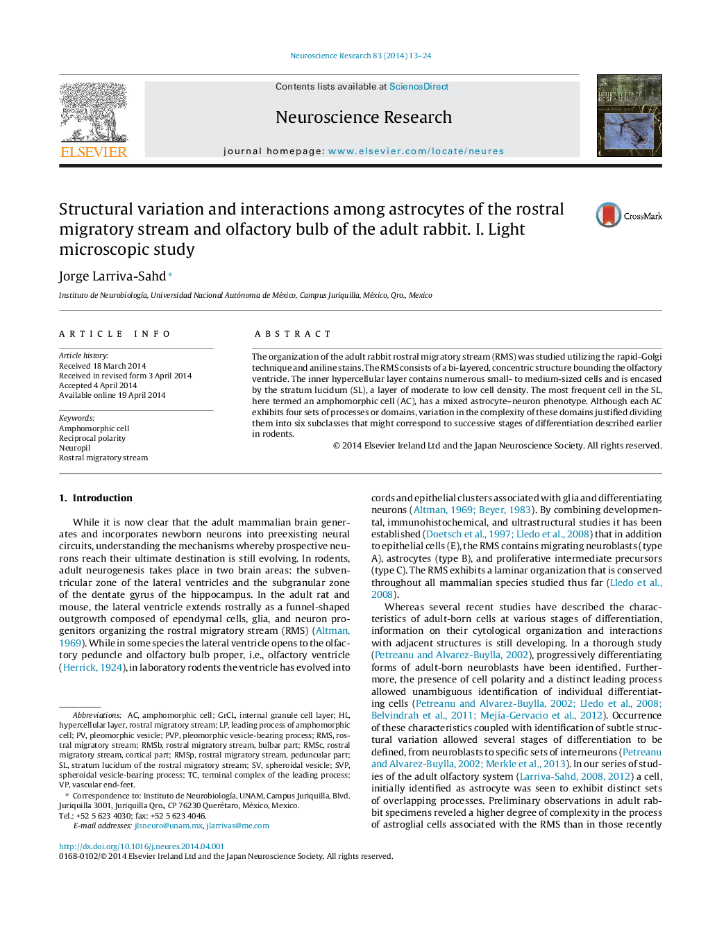 Structural variation and interactions among astrocytes of the rostral migratory stream and olfactory bulb of the adult rabbit. I. Light microscopic study