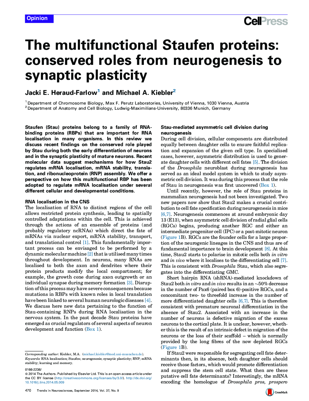 The multifunctional Staufen proteins: conserved roles from neurogenesis to synaptic plasticity
