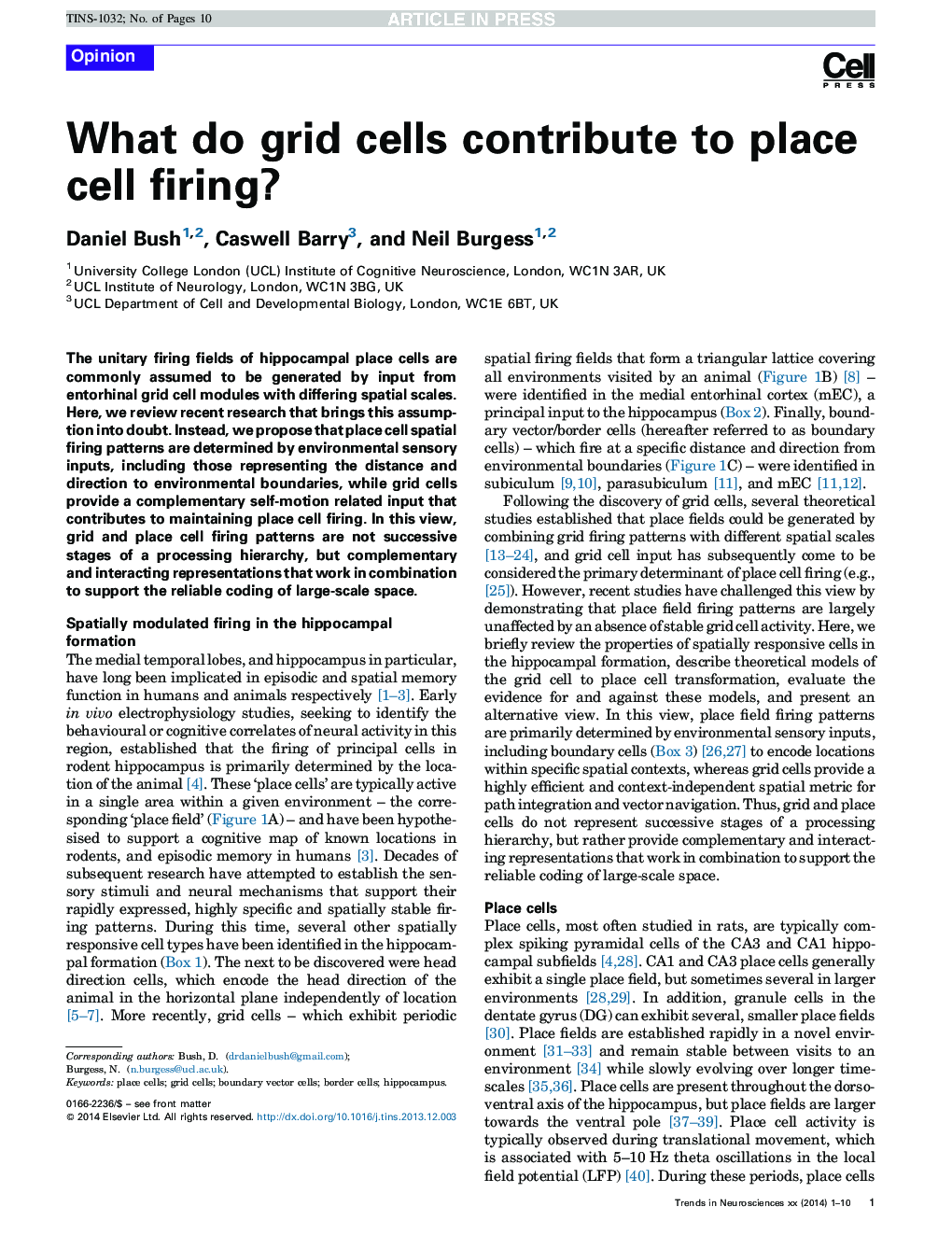 What do grid cells contribute to place cell firing?