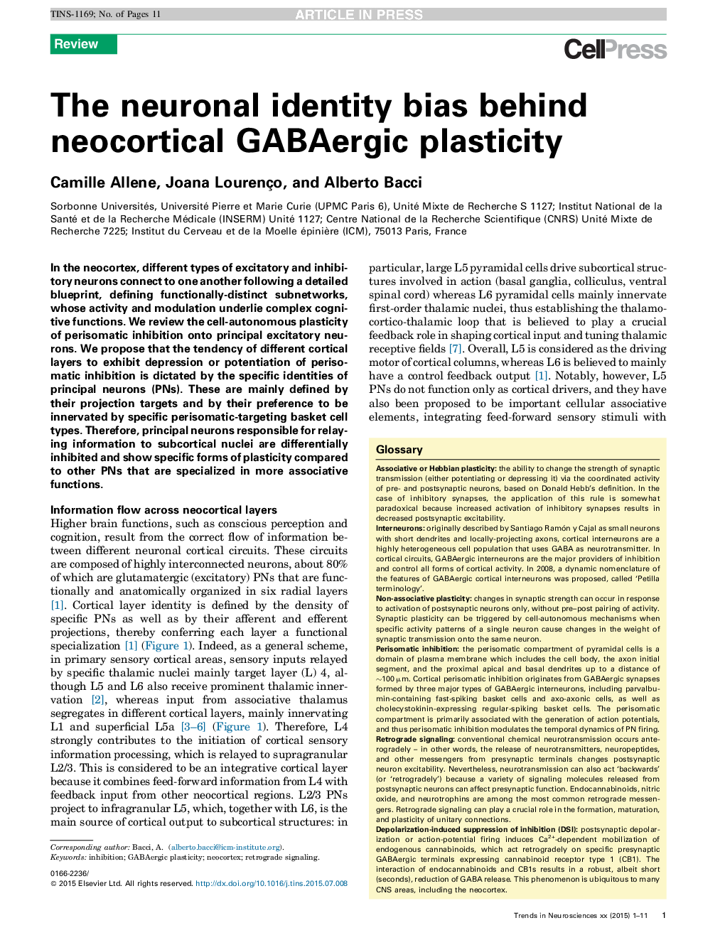 The neuronal identity bias behind neocortical GABAergic plasticity