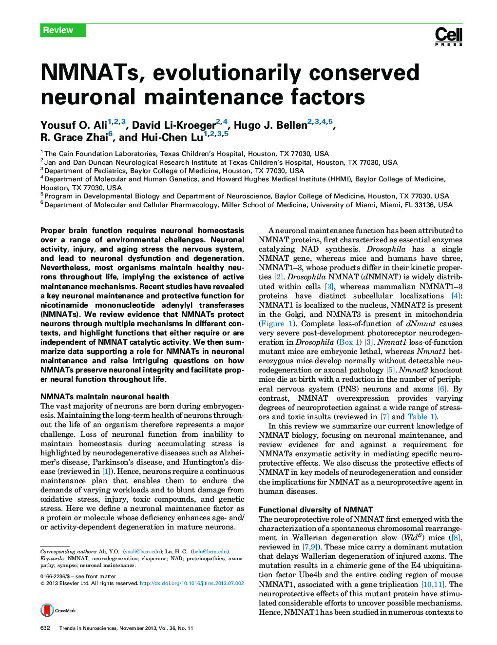 NMNATs, evolutionarily conserved neuronal maintenance factors