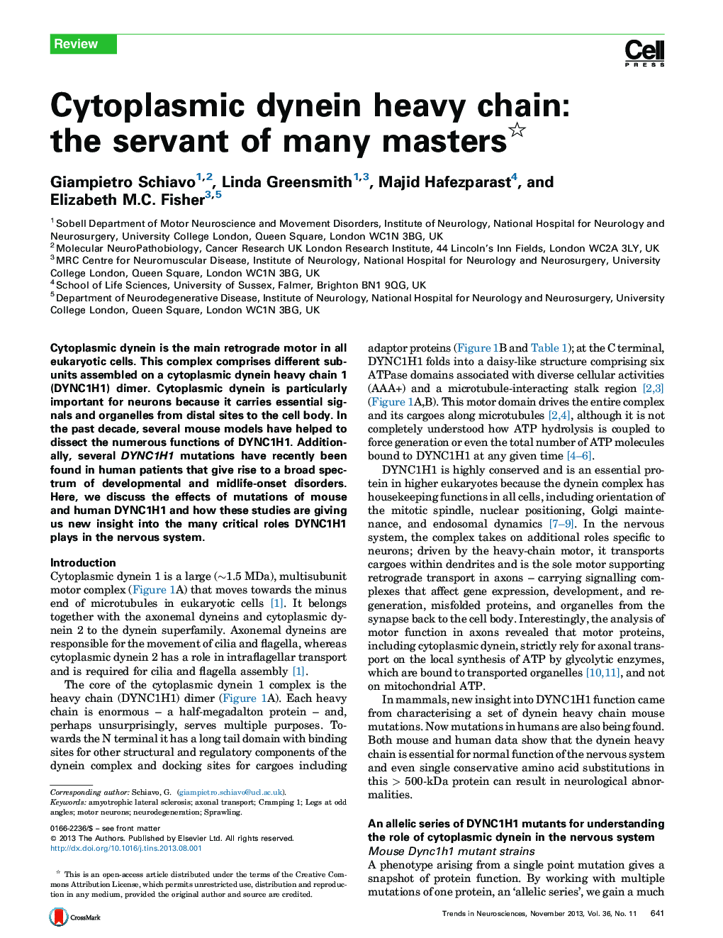 Cytoplasmic dynein heavy chain: the servant of many masters