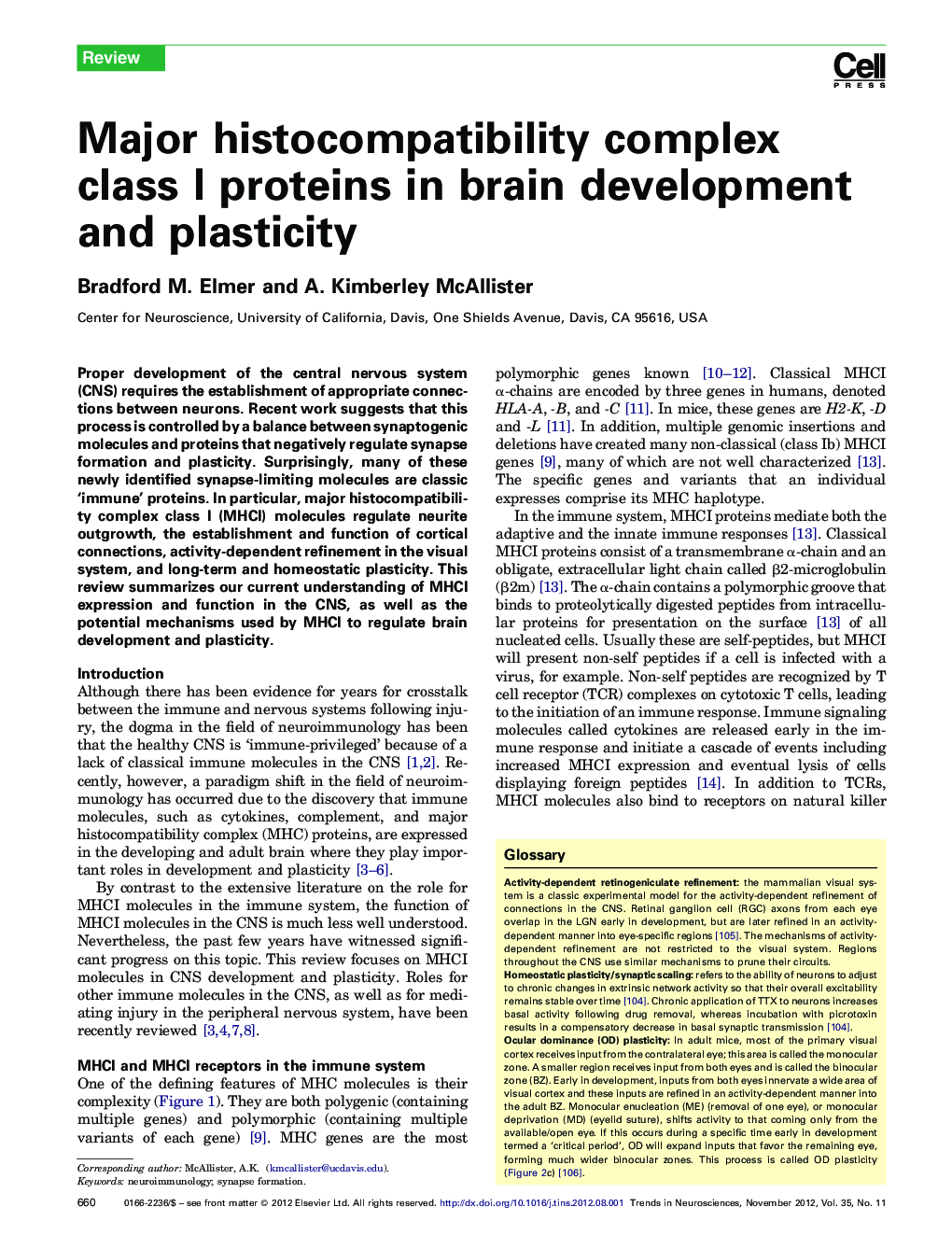 Major histocompatibility complex class I proteins in brain development and plasticity