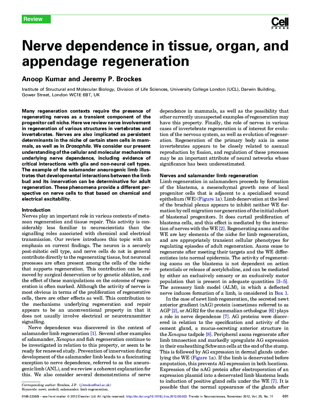 Nerve dependence in tissue, organ, and appendage regeneration