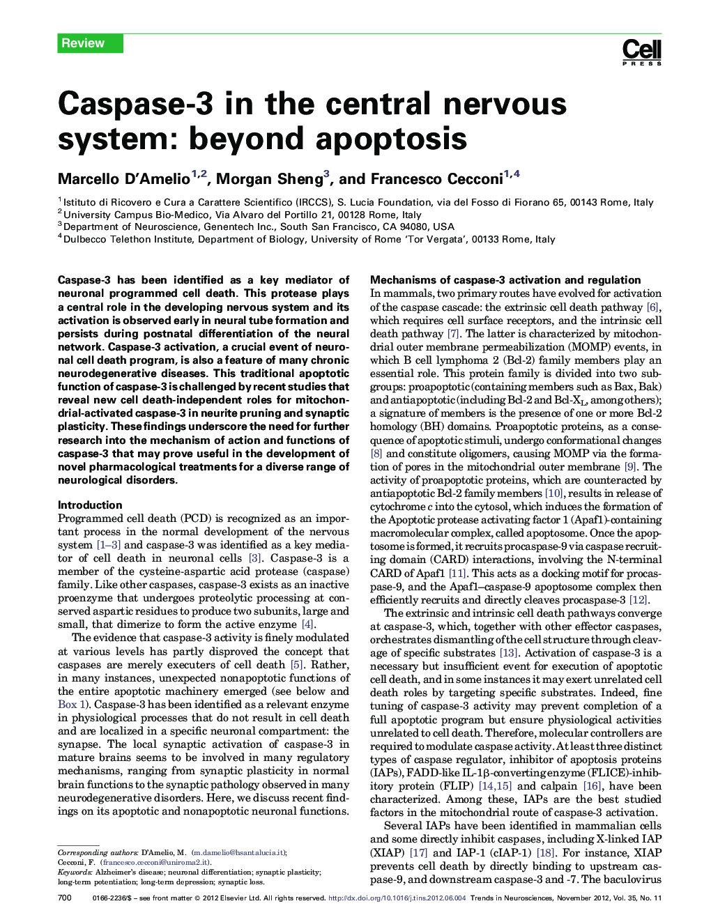 Caspase-3 in the central nervous system: beyond apoptosis