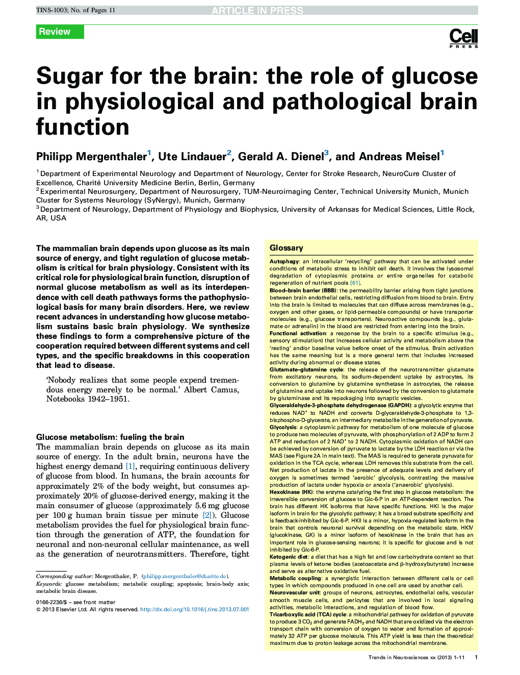 Sugar for the brain: the role of glucose in physiological and pathological brain function