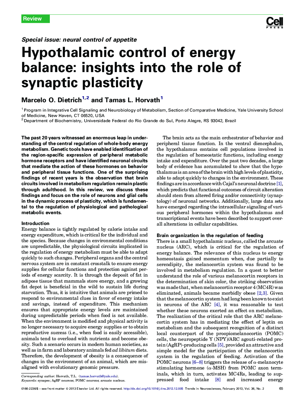 Hypothalamic control of energy balance: insights into the role of synaptic plasticity