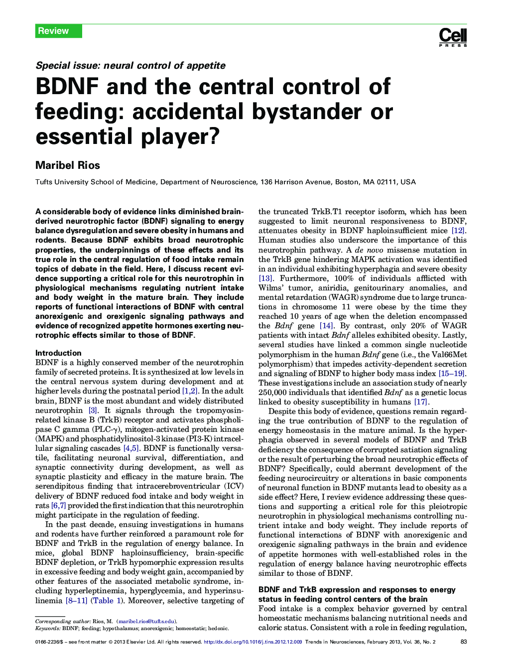 BDNF and the central control of feeding: accidental bystander or essential player?