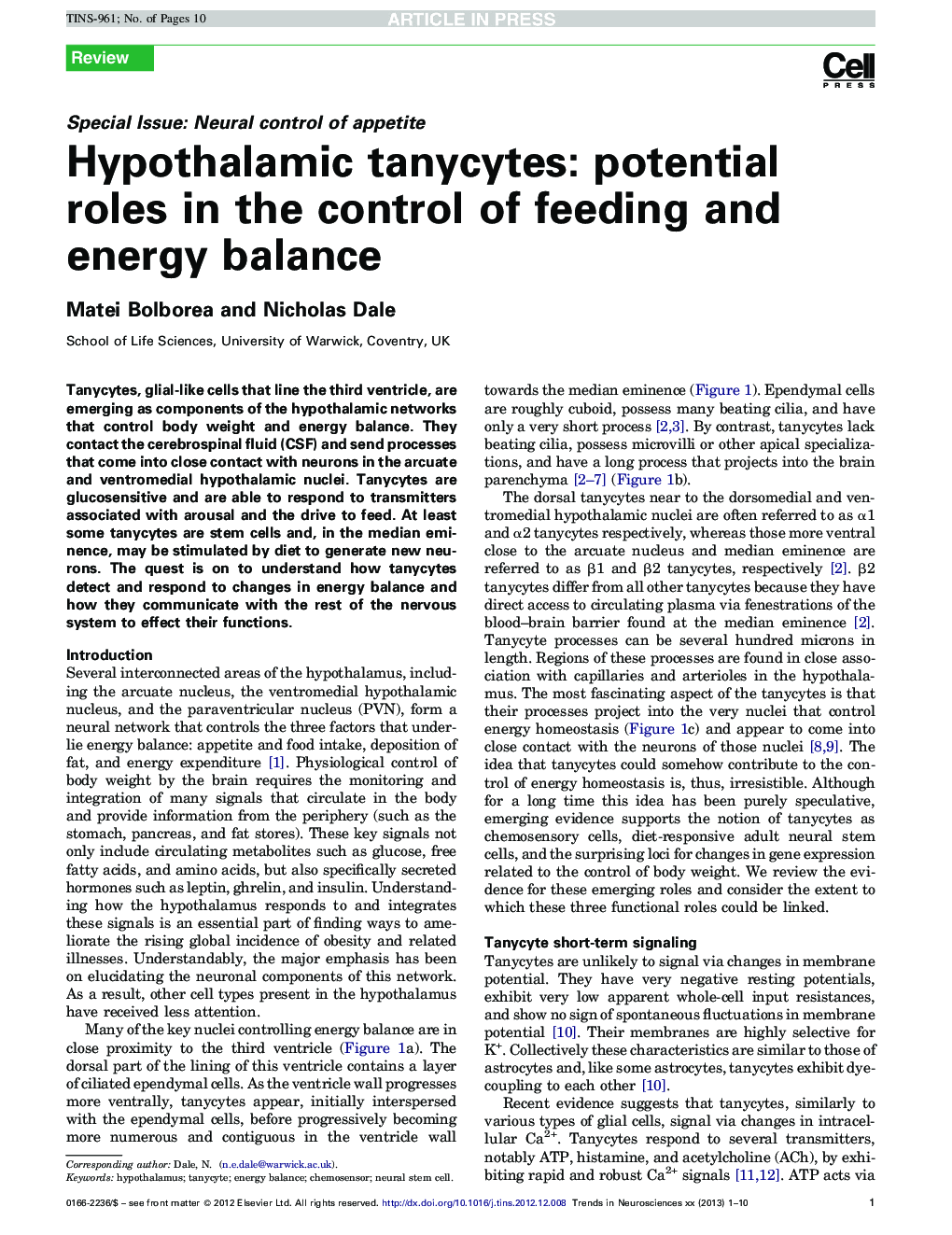 Hypothalamic tanycytes: potential roles in the control of feeding and energy balance