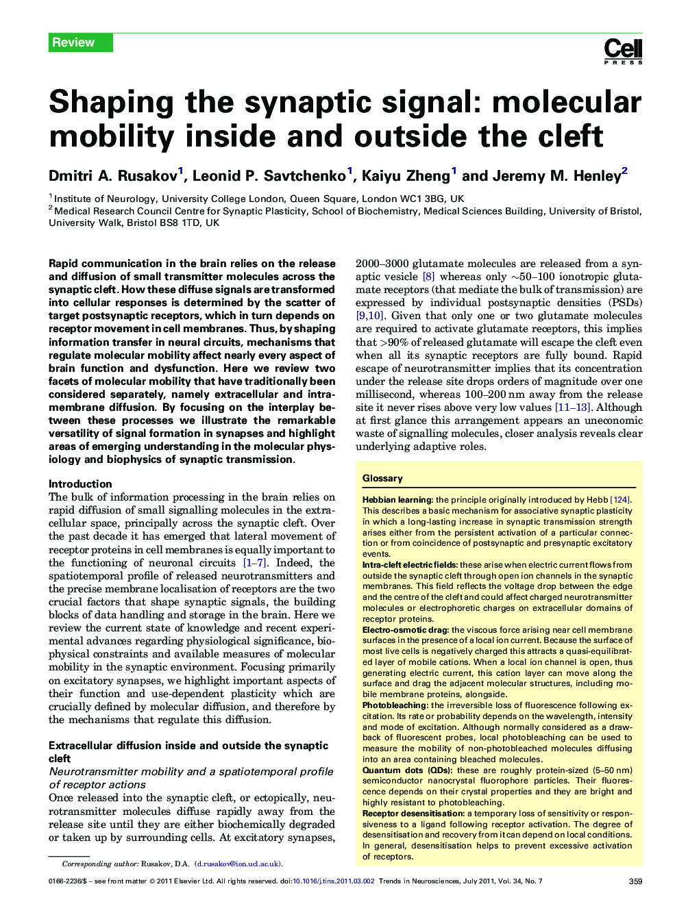 Shaping the synaptic signal: molecular mobility inside and outside the cleft