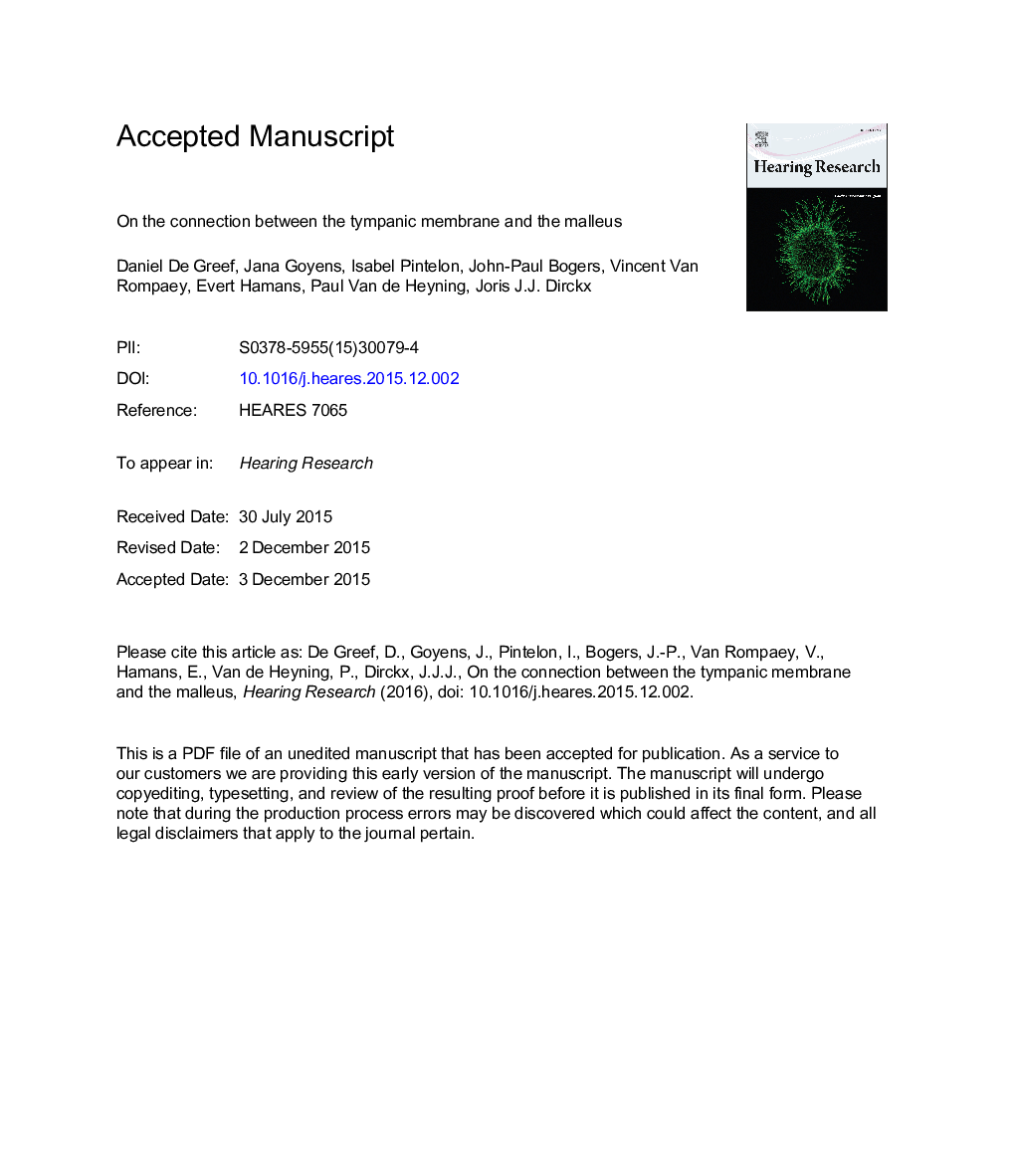 On the connection between the tympanic membrane and the malleus