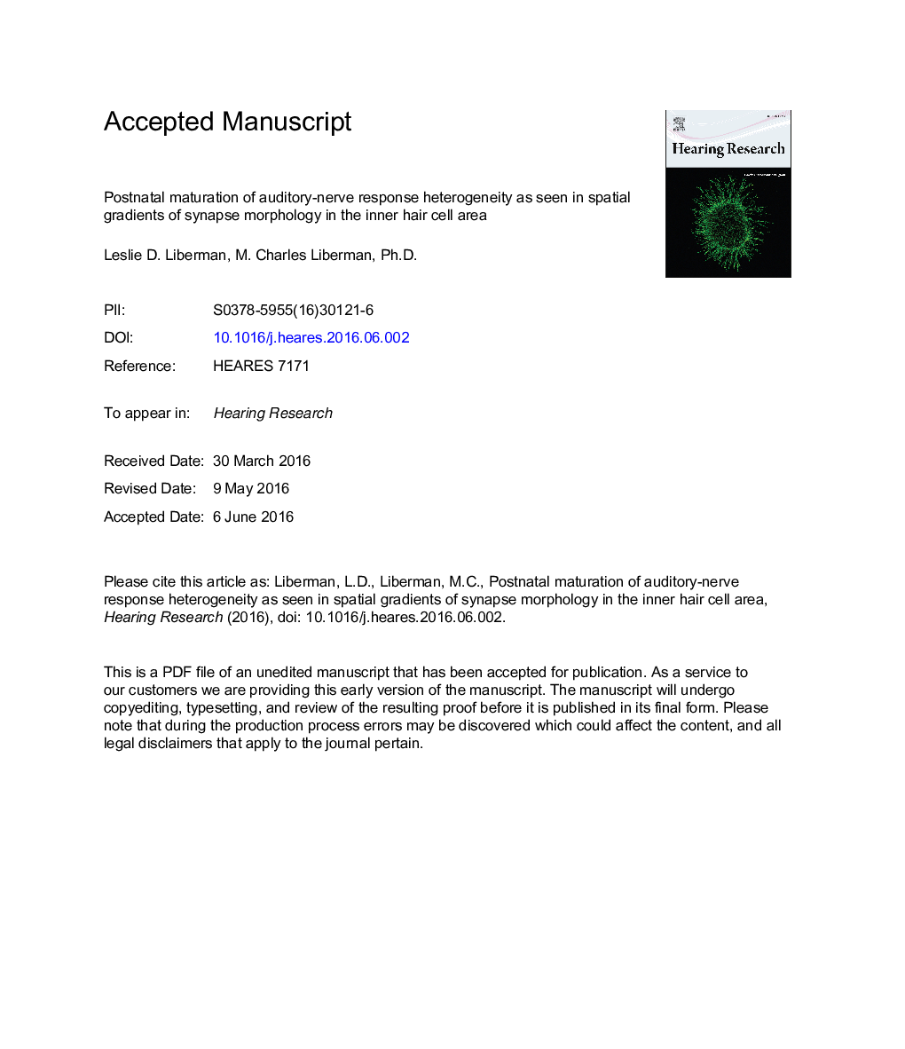 Postnatal maturation of auditory-nerve heterogeneity, as seen in spatial gradients of synapse morphology in the inner hair cell area