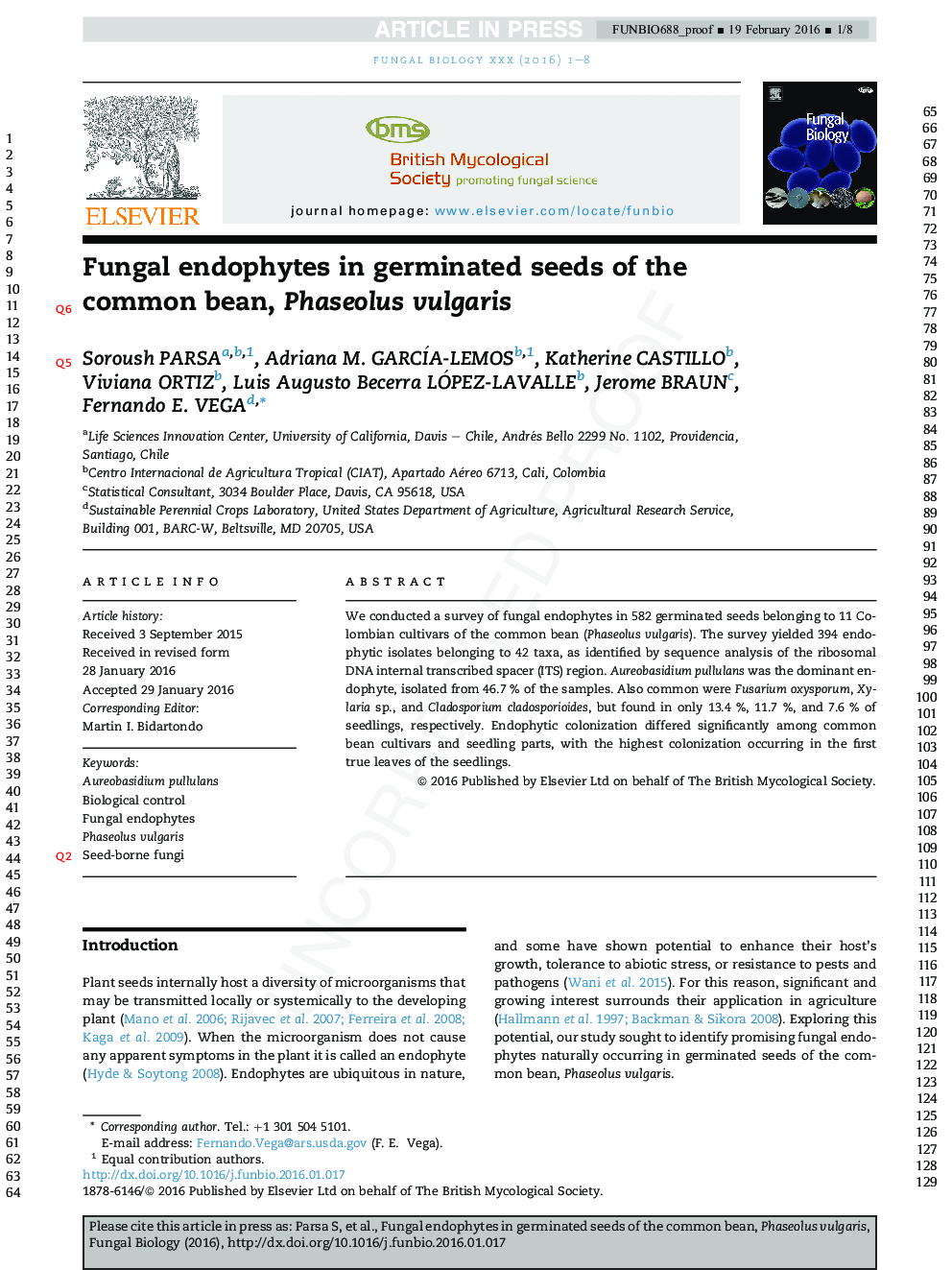 Fungal endophytes in germinated seeds of the common bean, Phaseolus vulgaris