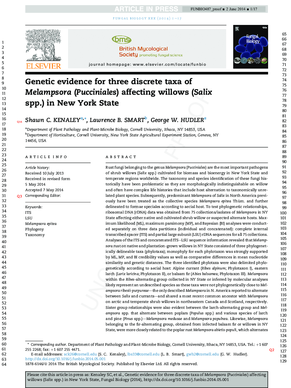 Genetic evidence for three discrete taxa of Melampsora (Pucciniales) affecting willows (Salix spp.) in New York State
