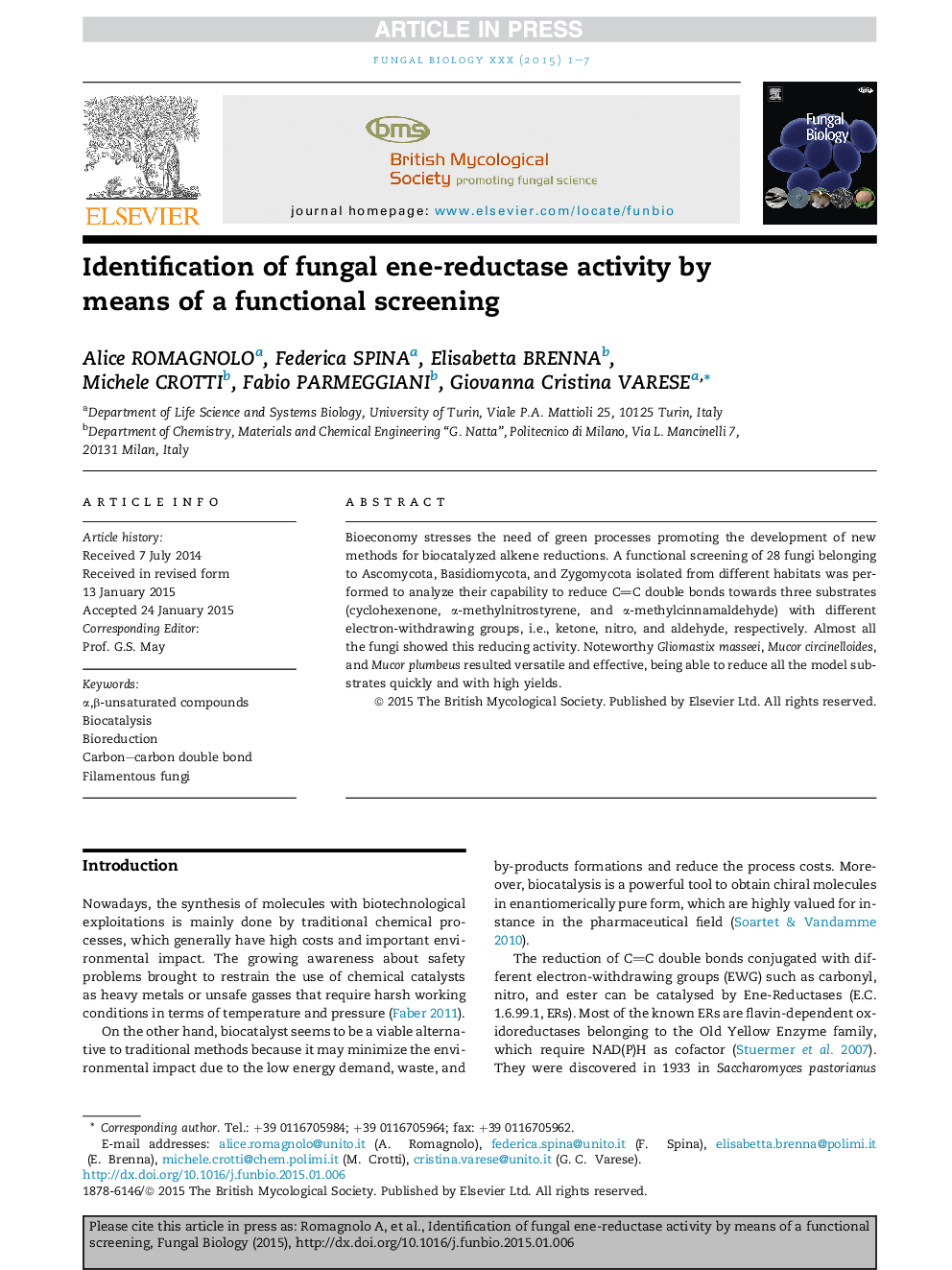 Identification of fungal ene-reductase activity by means of a functional screening