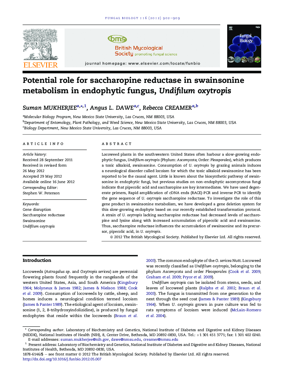 Potential role for saccharopine reductase in swainsonine metabolism in endophytic fungus, Undifilum oxytropis