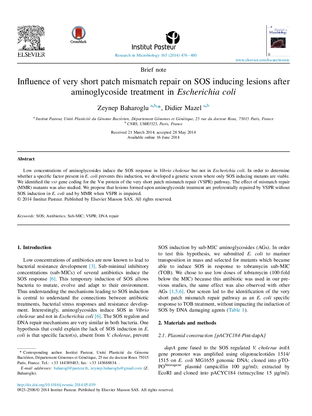 Influence of very short patch mismatch repair on SOS inducing lesions after aminoglycoside treatment in Escherichia coli