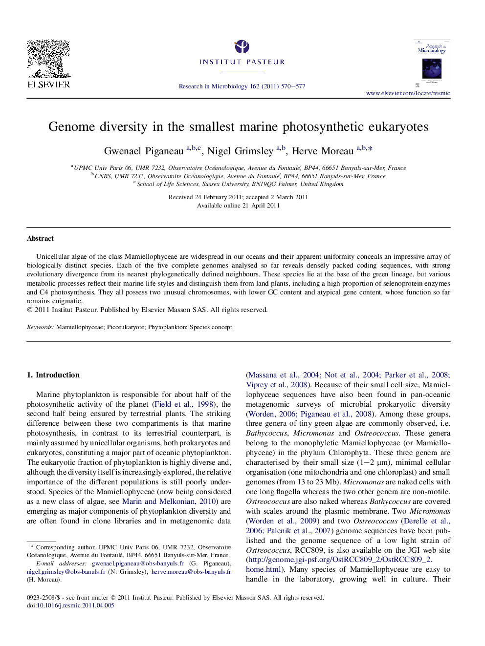 Genome diversity in the smallest marine photosynthetic eukaryotes