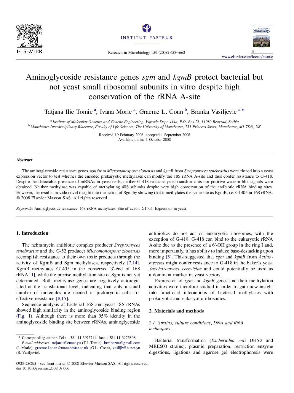 Aminoglycoside resistance genes sgm and kgmB protect bacterial but not yeast small ribosomal subunits in vitro despite high conservation of the rRNA A-site