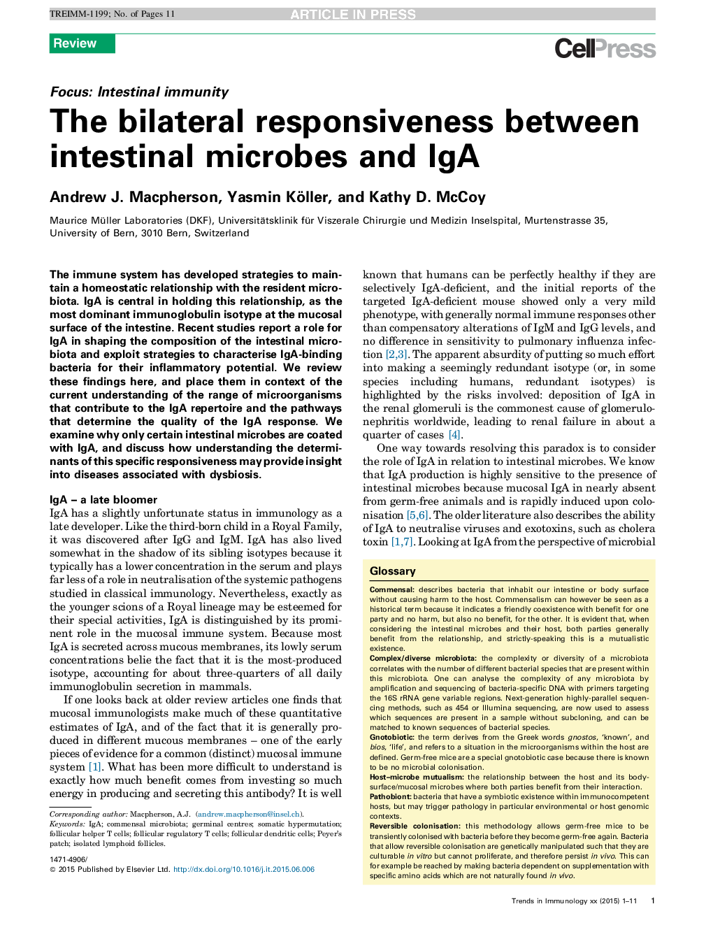 The bilateral responsiveness between intestinal microbes and IgA