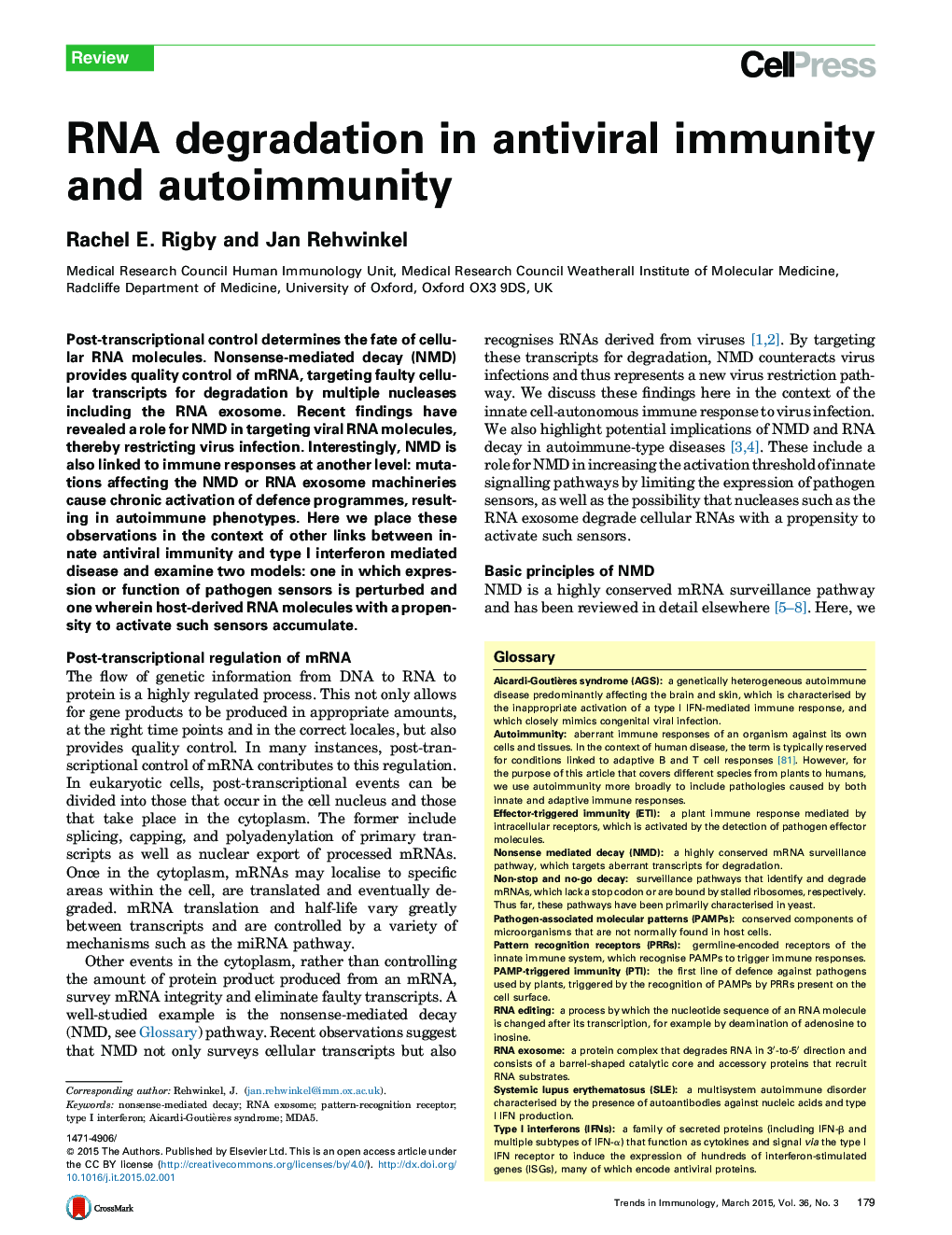 RNA degradation in antiviral immunity and autoimmunity