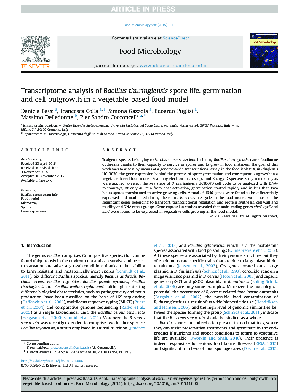 Transcriptome analysis of Bacillus thuringiensis spore life, germination and cell outgrowth in a vegetable-based food model