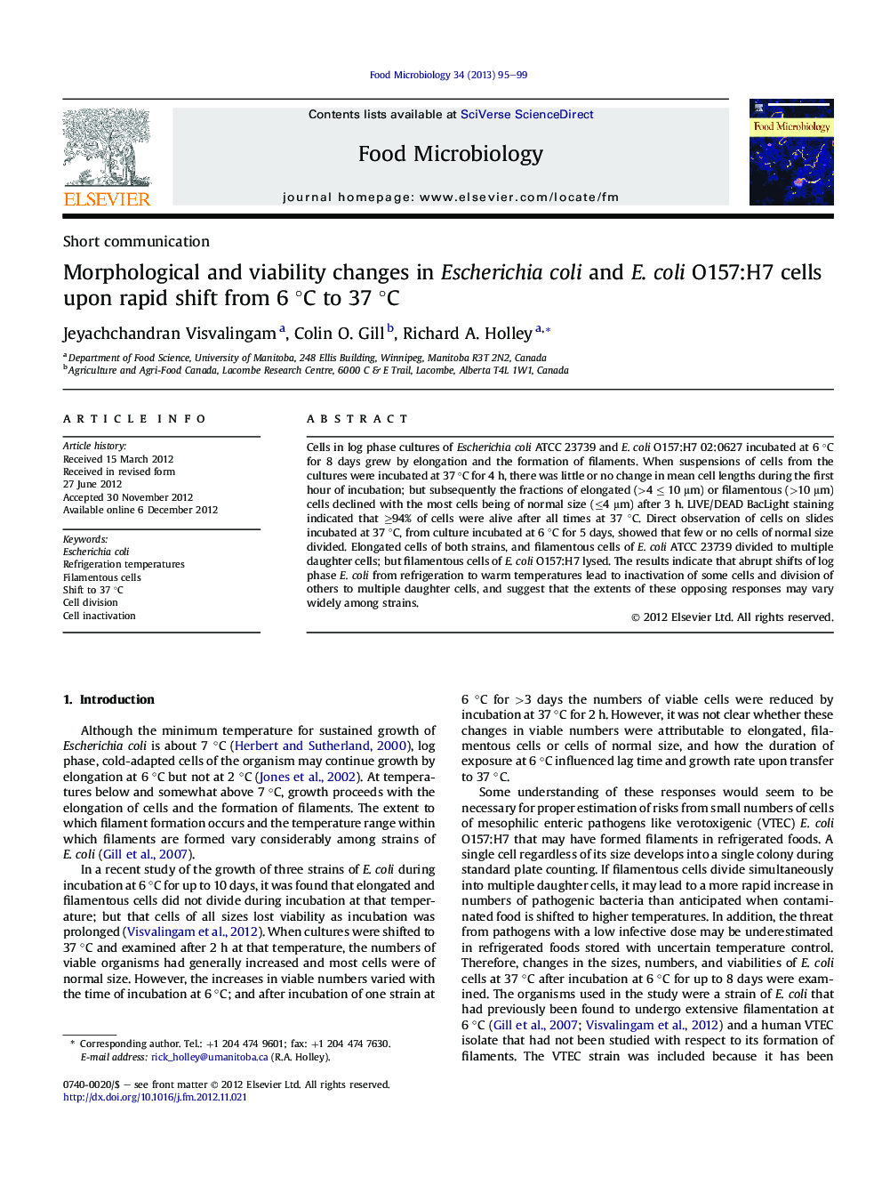 Morphological and viability changes in Escherichia coli and E.Â coli O157:H7 cells upon rapid shift from 6Â Â°C to 37Â Â°C